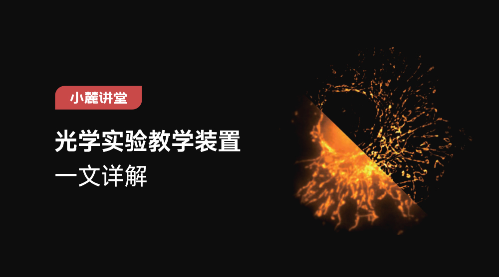 光学教学装置选型指南（下）：从显微成像、光镊到量子光学